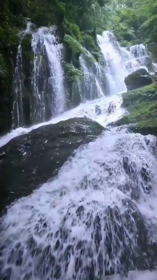 为什么我老婆说我小架子气-专业有趣的红迪网平台